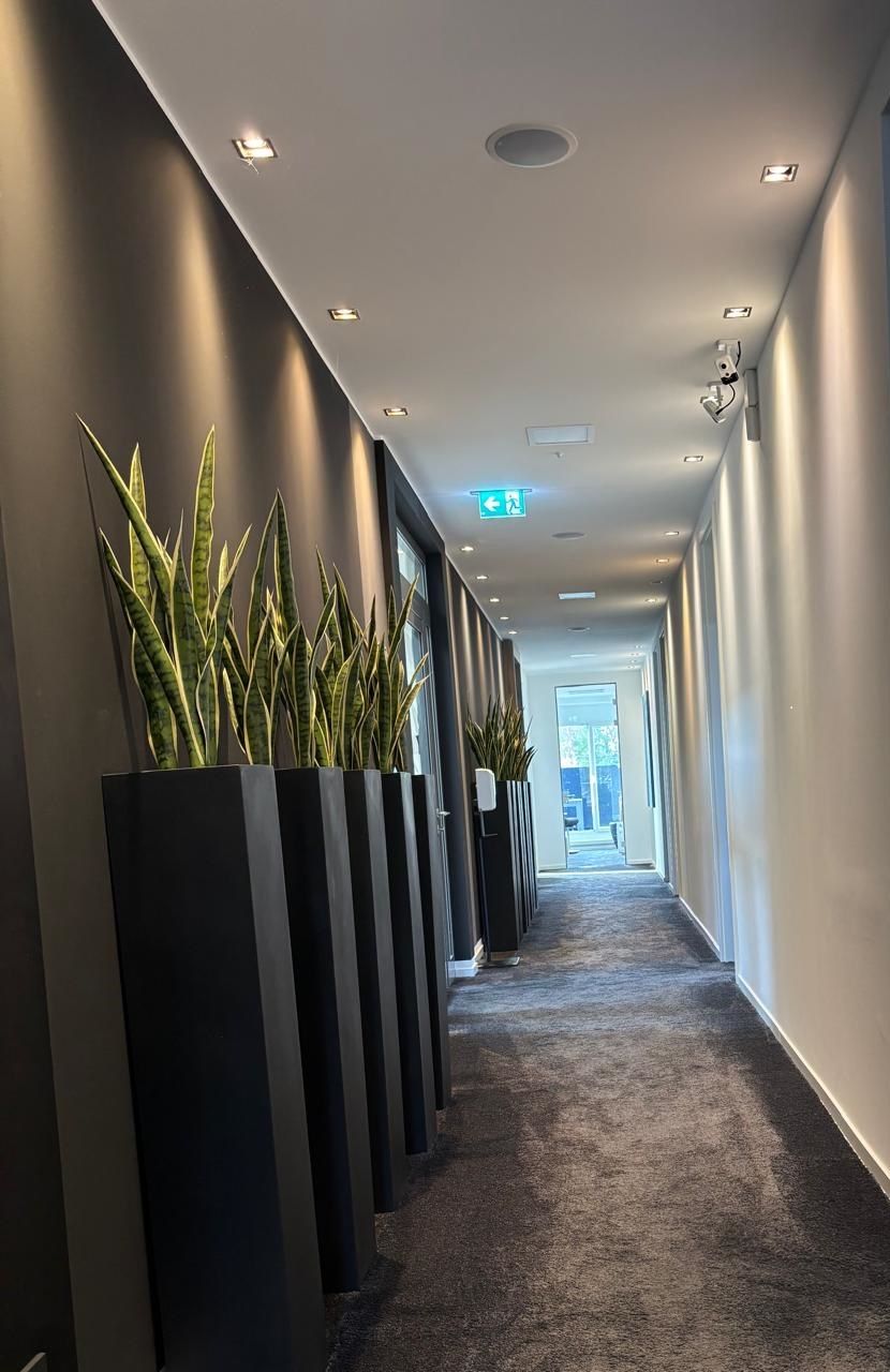 Heller Büroflur mit Pflanzen im Firmensitz der GSL Asset Management GmbH